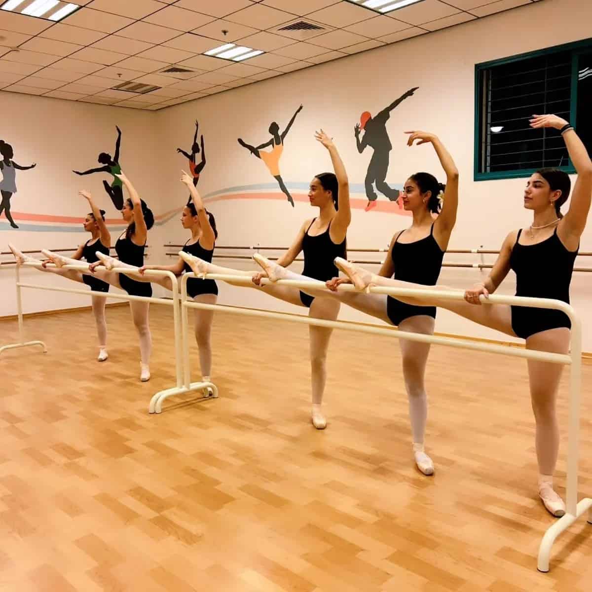 בר נייד כפול מברזל - קל ויציב - מג'יק פלור